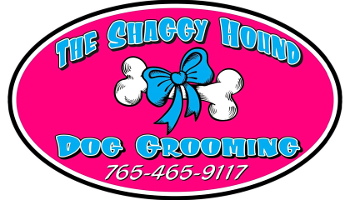 The Shaggy Hound Dog Grooming Logo